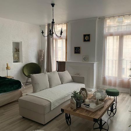 Le Green & Peace Centre Historique, En Face Du Musee Du Pilori, A 2Mn A Pied De L'Hyper Centre Et Proche Toutes Commodites, Wifi-Netflix Ньор Экстерьер фото