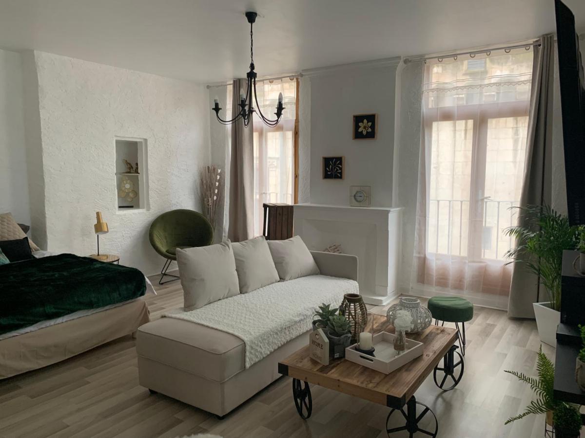 Le Green & Peace Centre Historique, En Face Du Musee Du Pilori, A 2Mn A Pied De L'Hyper Centre Et Proche Toutes Commodites, Wifi-Netflix Ньор Экстерьер фото